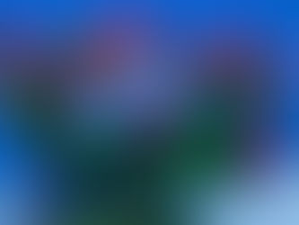 Cichlid Fish Ke Liye Perfect Diet: Best Foods Aur Feeding Tips