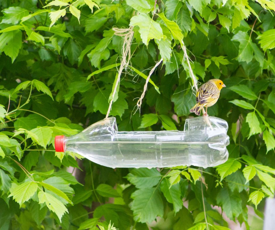 Birds ke liye fresh water
