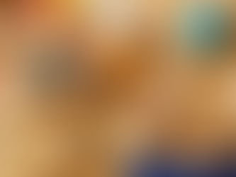 Hamster Ke Liye Perfect Home Kaise Banayein?