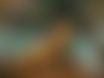 Mastering Bearded Dragon Care: Key Tips for a Healthy Pet