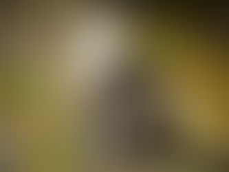 整体と猫背: 正しい姿勢の重要性