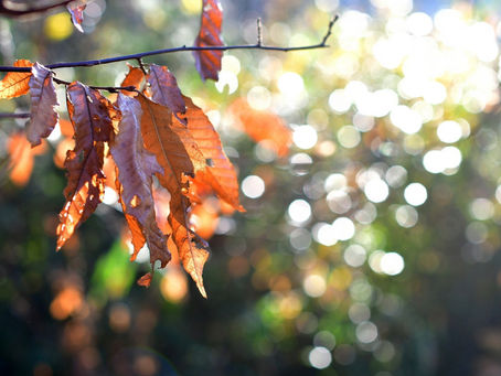 【乾燥肌対策術】