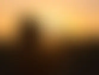 太陽光を浴びるべき7つの理由