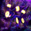 Thumbnail: "Eeveelutions" Set of 9