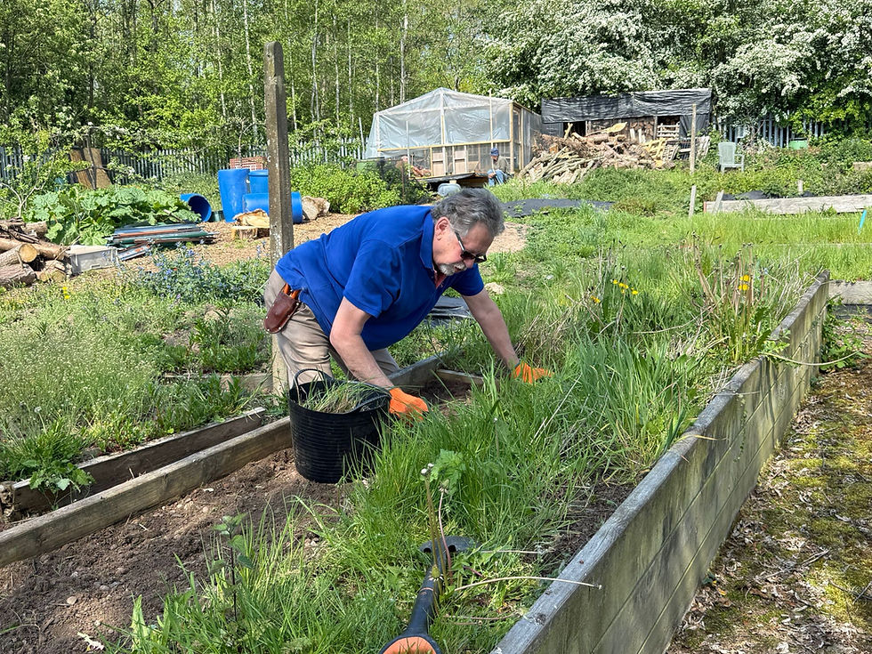 Charity Tidy Up