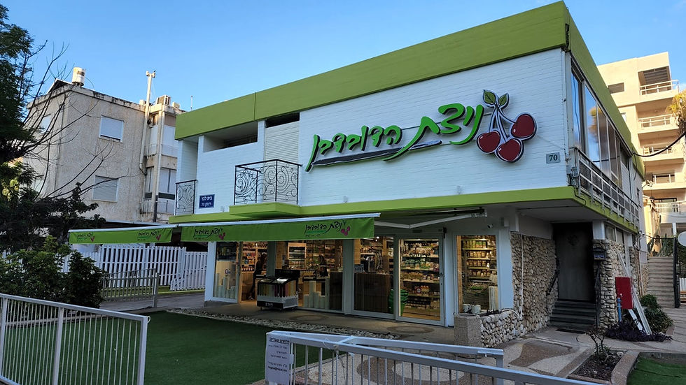 PHOTO-2025-02-19-13-27-01 (2).jpg