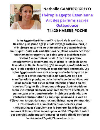 fiche GAMEIRO GRECO 1.png