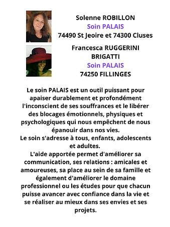 fiche robillon brigatti.png