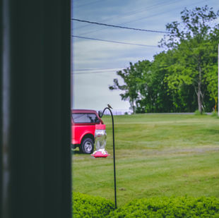 Travel photography, Bird, Car, New York, USA