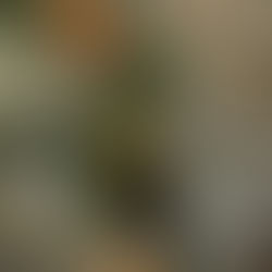 Real Wedding: Nick & Montana’s Wedding at The Summit House