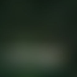 Behind the Scenes: A Day in the Life of a Wedding Coordinator