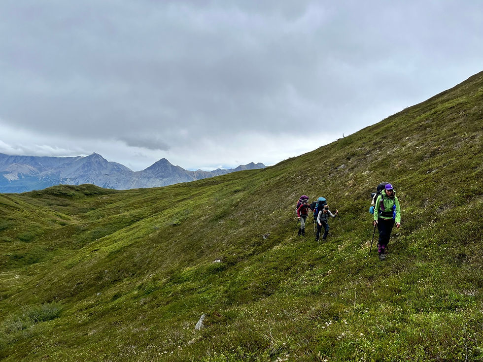 Backpackers on a green hillside with mountains in the distance
