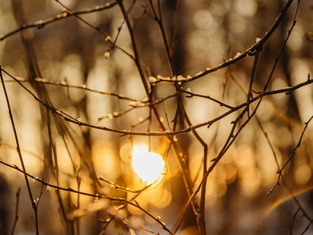 Commencer une thérapie en début d’année à Lyon : faire le point et engager le changement