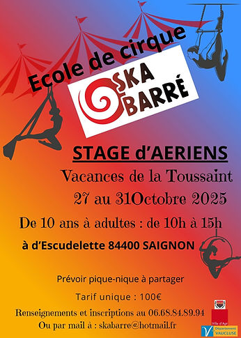 stage a�érien 27 au 31 octobre 25.jpg