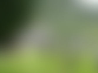 Letter from Amy: October 22, 2025