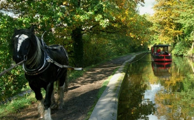 Horse Drawn Boats