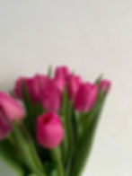 Ramo de tulipanes fiusca. Xanat Flores, flores con envío a domicilio en CDMX