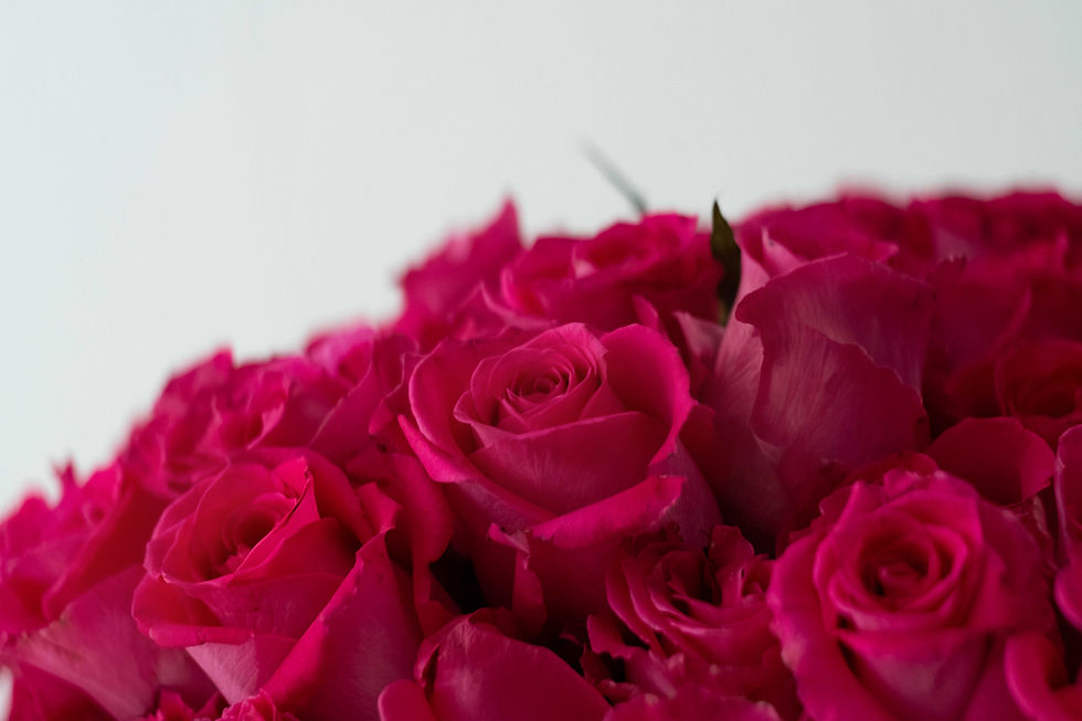 Close up a ramo elegante, minimalista de 100 hermosas rosas rosas en tonalidad fucsia con pétalos abundantes, recién cortadas, maturales, de la florería Xanat Flores, una tienda de ramos y flores a domicilio en CDMX, México. Ideales para regalar o decorar tu hogar.