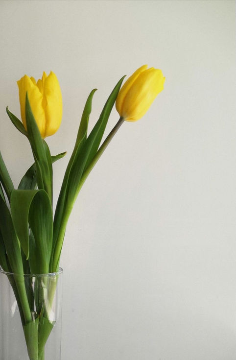 Close a ramo de tulipanes amarillos de Xanat Flores, flores con envío a domicilio en CDMX