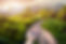 shutterstock_298111727.jpg