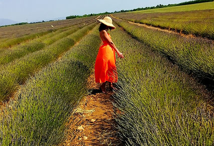 Moi dans les champs de lavande de Provence