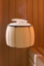 RUKU Meditherm Verdampfer