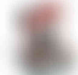 folding mobility scooter