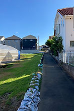 IMG_1012.jpg