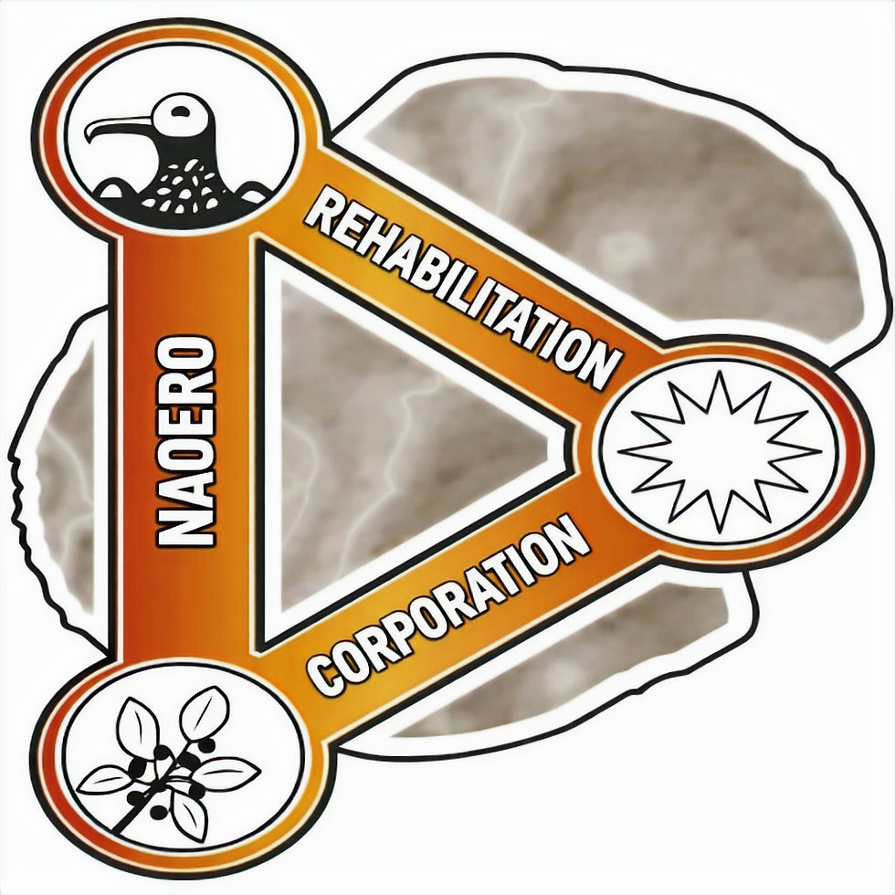 NRC Logo_edited.jpg