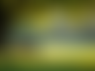 Understanding Crisis Intervention Services for Immediate Support