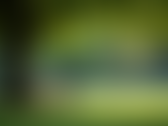 Navigating Mental Health Services to Enhance Support for Individuals