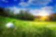 banner_2.jpg