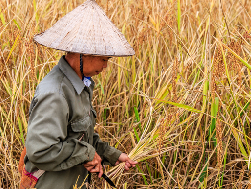 What I Wish My 20-something Self Knew