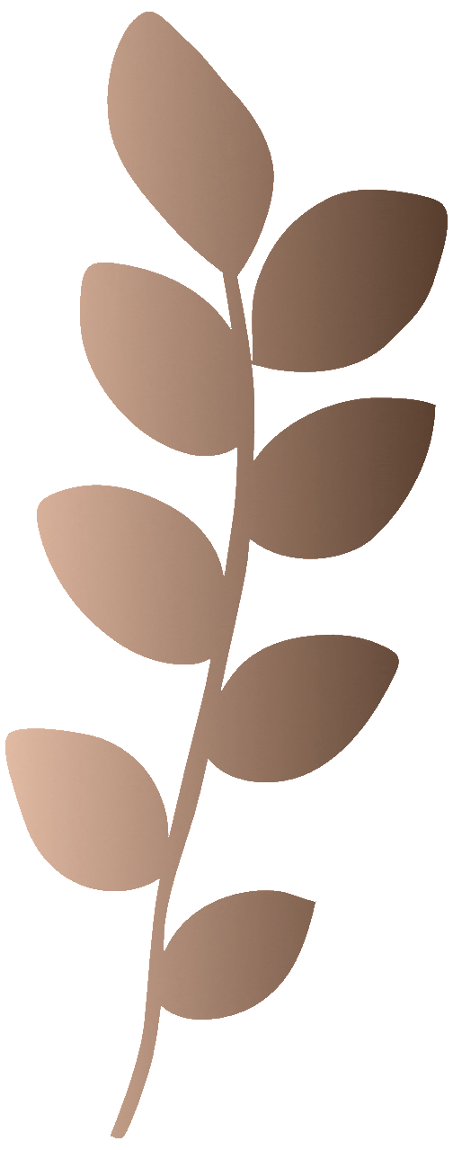 leaf_2_wolkesiebenfilm.gif