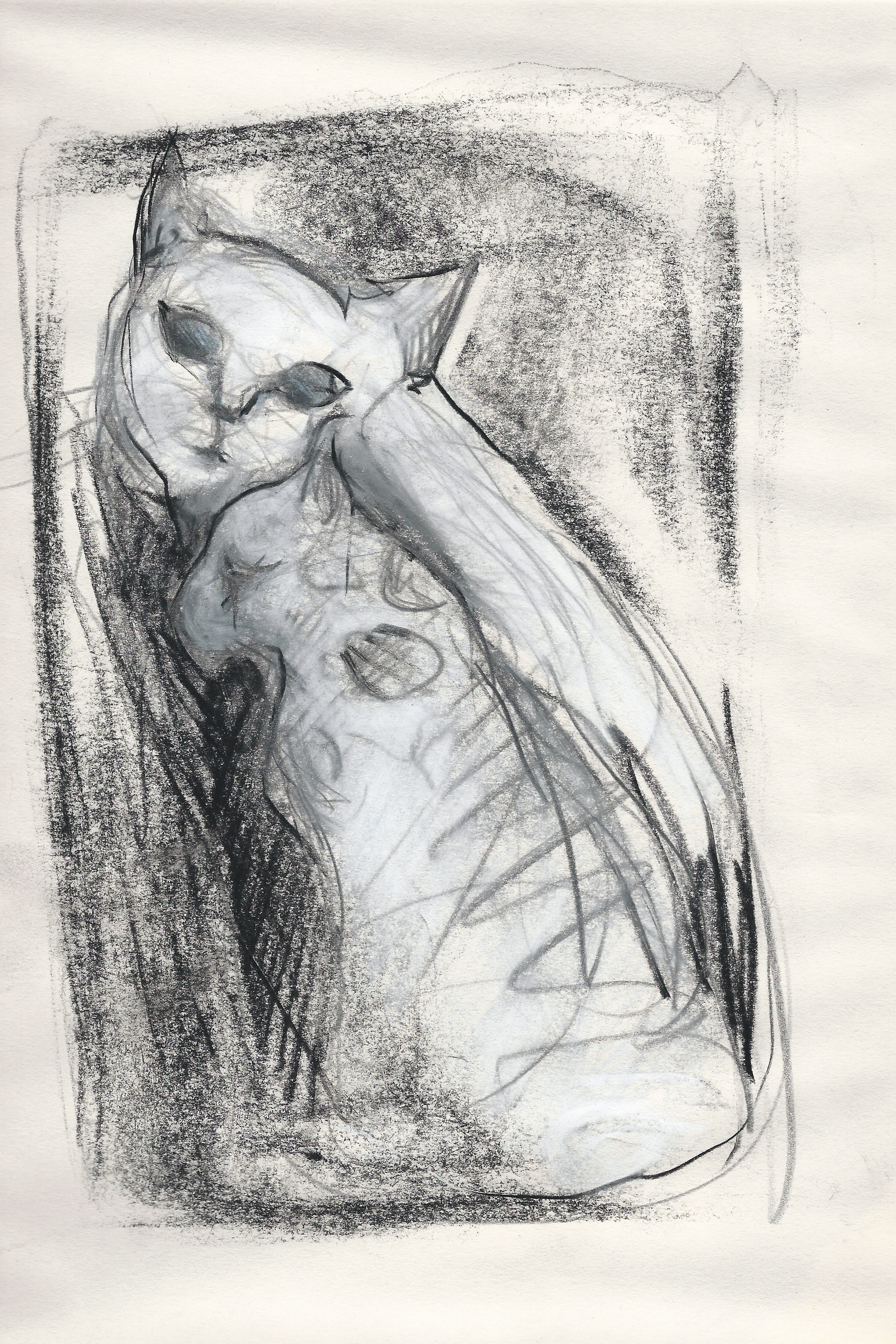 Dettato (Mrs Adele Locke) 2017, 20x30cm