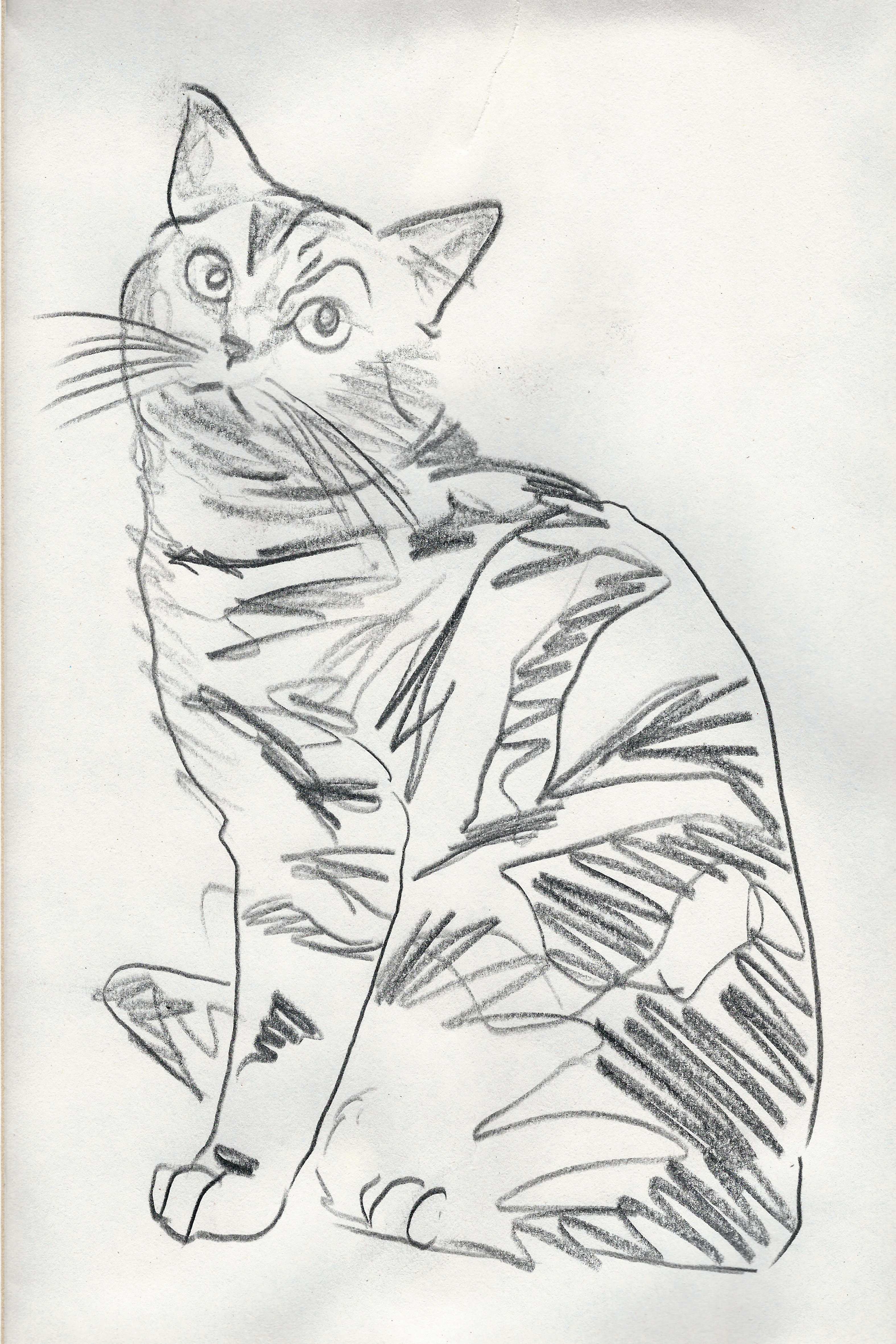 Dettato (Mrs Adele Locke) 3