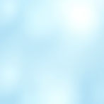 Dog Grooming and Styling Program: Traditional