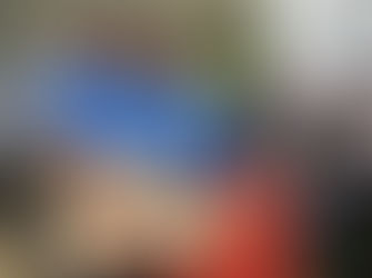 Retour sur les "Ovinpiades de l'herbe"!