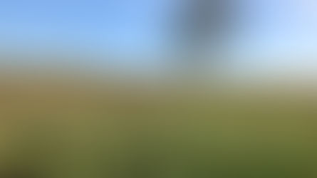 The Mill Brook from Blewbury to Wallingford: a consultation