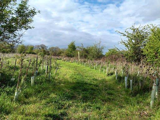 Sustainable Blewbury AGM Wedsnesday 22 April