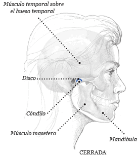 Dentista zaragoza