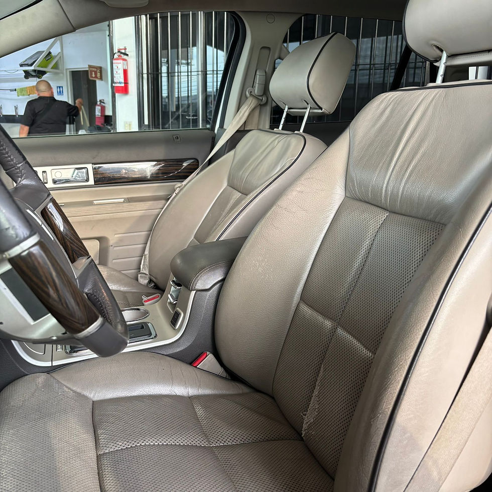 Miniatura: LINCOLN MKX 2009