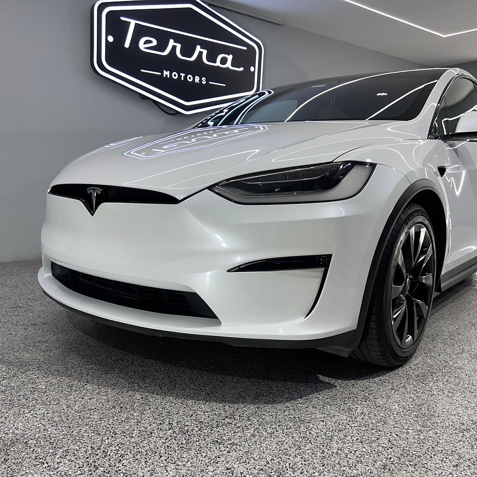 Miniatura: TESLA MODEL X 2023