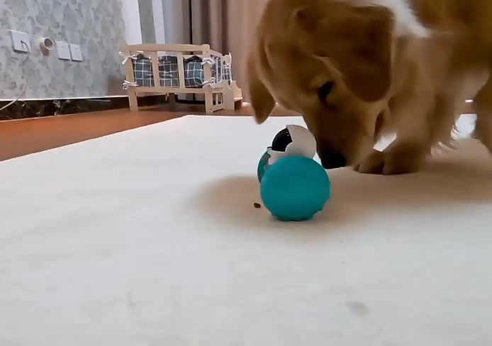 Miniatura: juguete para perro