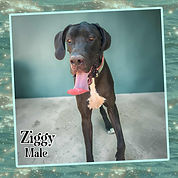 Tigger-8mo-M.jpg