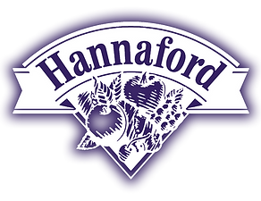 HANNAFORD-S.png