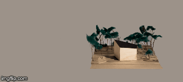 Exploring site and form MK 5 house.Book