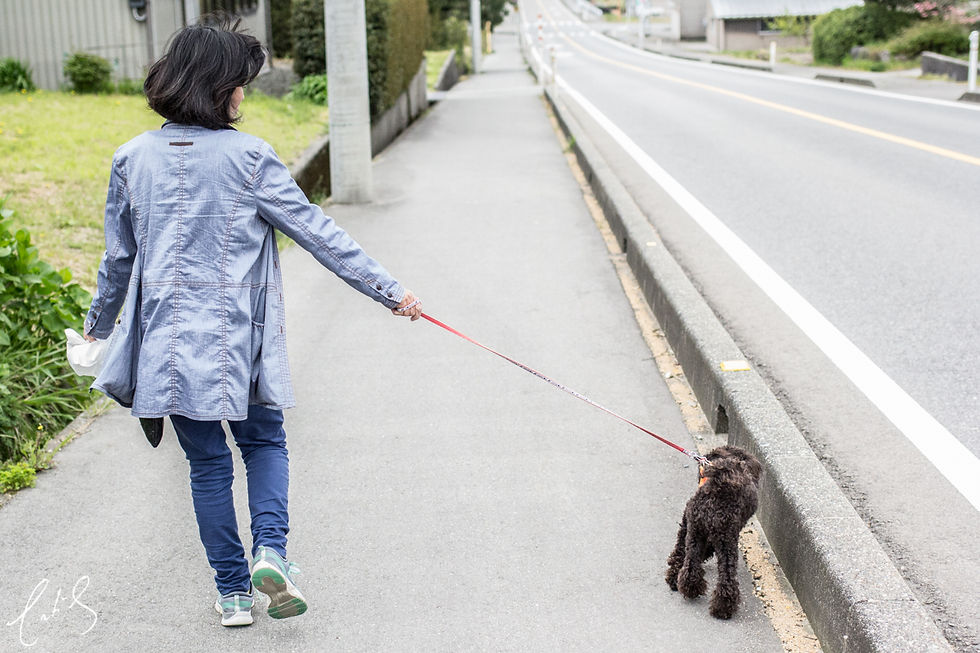 Japan 2016 (18 of 20)