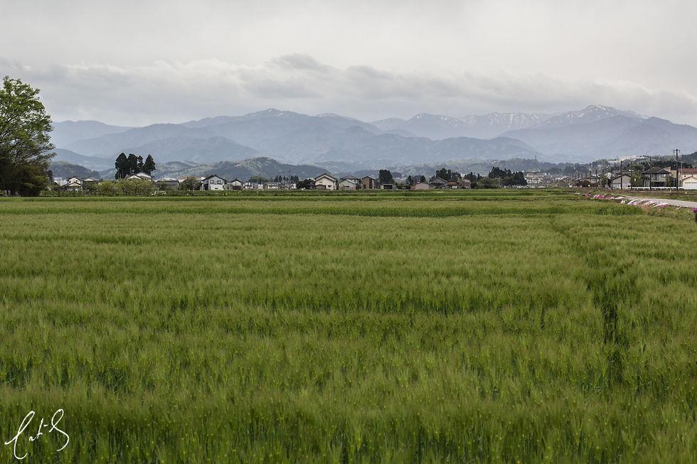 Japan 2016 (17 of 20)