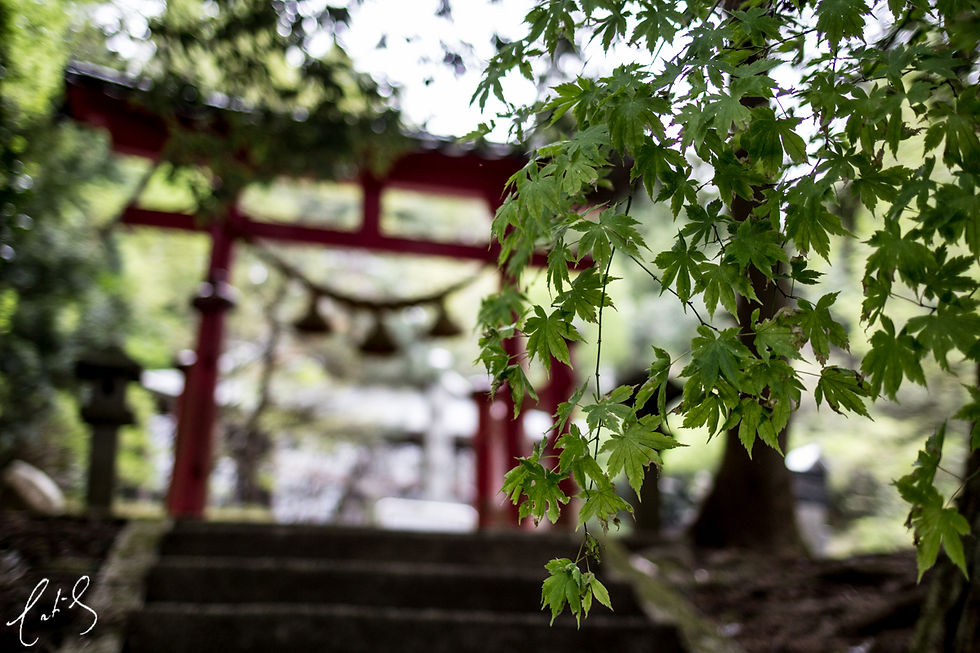 Japan 2016 (16 of 20)